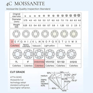 Lab Created Diamond Certified Moissanite Stud Earrings - KME means the very best