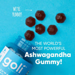 Load image into Gallery viewer, GOLI ASHWAGANDHA GUMMIES ( 1 X 60 ) - KME means the very best
