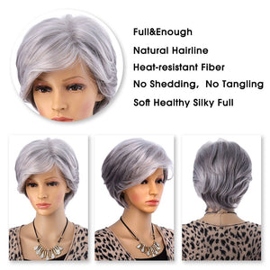 Wig Grey Hair for Women Short Hair Wig with Bang Straight Style - KME means the very best